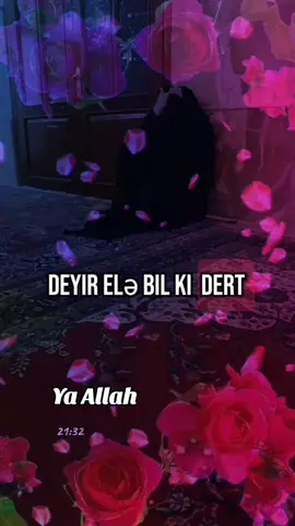 YA ALLAH  AS SALAMUN ALEYKUM SABAHINIZ XEYİRLİ OLSUN İNŞƏALLAH 🤲  ###TikTokLIVE ##qocaltdın ##esq ##fypシ゚viral ###😔💔 ####fyp ###fyp ###fyp ##😔 ##fyp ##😔 #####düet #f ###trend 