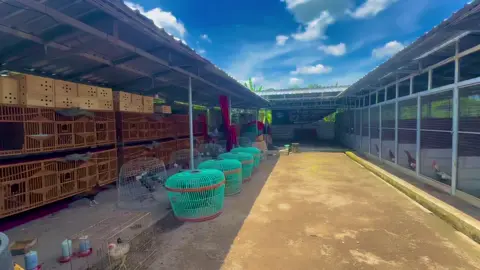 #CapCut INGAT!! Kalau kita kalah di pendidikan,Maka kita harus menang di lapangan🤝