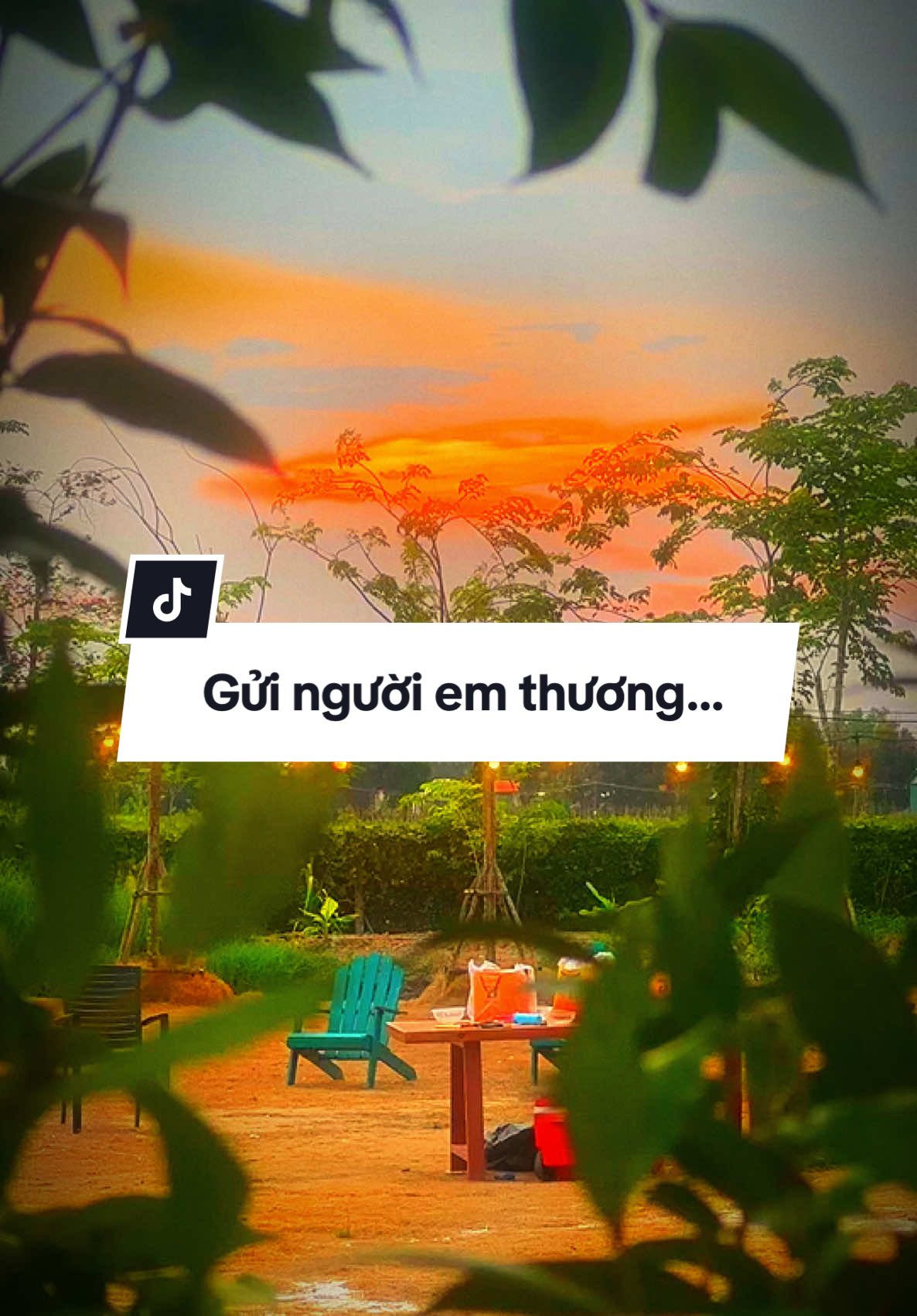 Có những khoảnh khắc nhỏ thôi, Một tin nhắn, một lời cảm ơn, Nhưng lại đủ để khiến lòng em ấm áp suốt cả ngày dài. Anh nói rằng: “Ít có ai chịu dành thời gian để tìm hiểu về người khác như vậy, trừ khi thật sự để ý và quan tâm.” Câu nói ấy – tưởng chừng giản đơn, Mà với em, lại là một sự thừa nhận chân thành, một sự kết nối thầm lặng giữa hai tâm hồn đang cố gắng hiểu nhau từng chút một. Anh biết không, Hiểu một người chưa bao giờ là điều dễ dàng. Nó đòi hỏi nhiều hơn những lời ngọt ngào, nhiều hơn những buổi hẹn hò ồn ào. Hiểu là khi em đủ kiên nhẫn lắng nghe những điều anh không nói ra, Đủ tinh tế nhận ra ánh mắt anh trầm lại giữa những bộn bề, Đủ thấu cảm để biết khi nào anh đang mệt mỏi nhưng vẫn gượng cười, Và cũng đủ dịu dàng để không hỏi quá nhiều, không đòi hỏi giải thích – chỉ ở đó, lặng lẽ, đồng hành. Em không biết mình đã làm được bao nhiêu trong tất cả những điều ấy, Chỉ là… Khi đã thật lòng thương một người, Em luôn muốn bước chậm lại, Để kịp hiểu, kịp thương, kịp sẻ chia. Không phải để trở thành người hoàn hảo bên anh, Mà là để chính em cũng lớn lên từng ngày trong sự thấu hiểu và bao dung. Tình yêu tỉnh thức – em nghĩ, Không phải là việc chúng ta luôn ở cạnh nhau mỗi ngày, Càng không phải là những lời hứa to tát. Mà là sự chọn lựa nhẹ nhàng nhưng vững chắc: 	•	Chọn lắng nghe khi đối phương cần. 	•	Chọn kiên nhẫn khi đối phương im lặng. 	•	Chọn đồng hành, mà không chiếm hữu. 	•	Chọn thấu hiểu, trước khi phán xét. 	•	Chọn yêu thương, ngay cả khi không cần lời xác nhận mỗi ngày. Anh cảm ơn em – em cũng muốn cảm ơn anh. Cảm ơn vì đã tin tưởng để chia sẻ. Cảm ơn vì đã để em có cơ hội bước sâu hơn vào thế giới của anh, Không phải để thay đổi, không phải để kiểm soát, Mà chỉ đơn giản là để lặng lẽ thương, Thương những nỗ lực, thương những gồng gánh thầm lặng, Thương cả những vết thương cũ mà anh đã đi qua để trở thành một người đàn ông kiên cường như hôm nay. Chúng ta vẫn còn những đoạn đường dài phía trước, Vẫn còn những thử thách cần cùng nhau vượt qua. Nhưng em tin, chỉ cần mình đủ kiên nhẫn, đủ tỉnh thức, Thì dù bước nhanh hay bước chậm, Ta cũng sẽ không lạc mất nhau. Vì hiểu – mới có thể thương. Vì thương – mới có thể đi cùng nhau bền lâu. Em thương anh, Bằng tất cả sự dịu dàng mà em có thể dành cho một người. Và em cũng biết ơn cuộc đời – vì đã cho em gặp được anh, Đúng lúc em đã đủ trưởng thành để yêu thương một cách tỉnh thức. ⸻ Diệu An 🌻 #DieuAn #GuiNguoiEmThuong #YeuTrongTinhThuc #TinhYeuTruongThanh #HealingLove #ThauHieuDeThuong #TraiTimTinhThuc #DongHanhKhongRangBuoc
