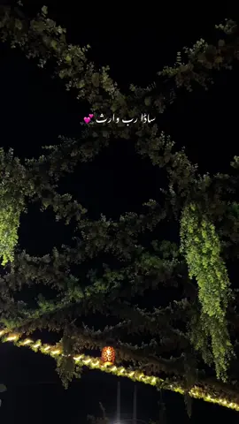 ہاں جی ❤️#fyp #status#allahuakbar 