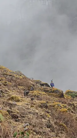 National Bird #Explore_Rasuwa💚 #nature_lover🌸♻️ #fyp #mountain_explorer_💚 #rasuwali_muser🇳🇵🇳🇵 #TokTok_Nepal💚🥀 