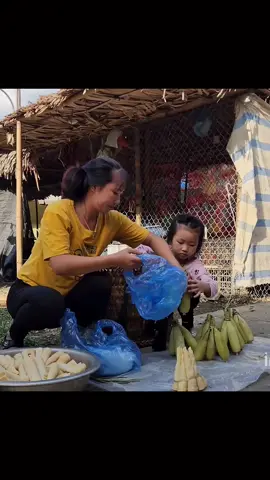 #harvesting #highlandslife #singlemom 