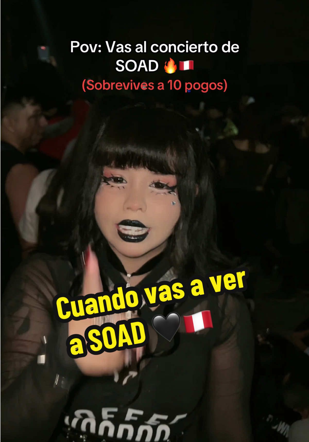Lo dimos todo el Campo A 🐹🔥🇵🇪🖤 #systemofadownperu #soad #systemofadown #peru #concierto #humor #pov #kewiipuffle #chicacuy 
