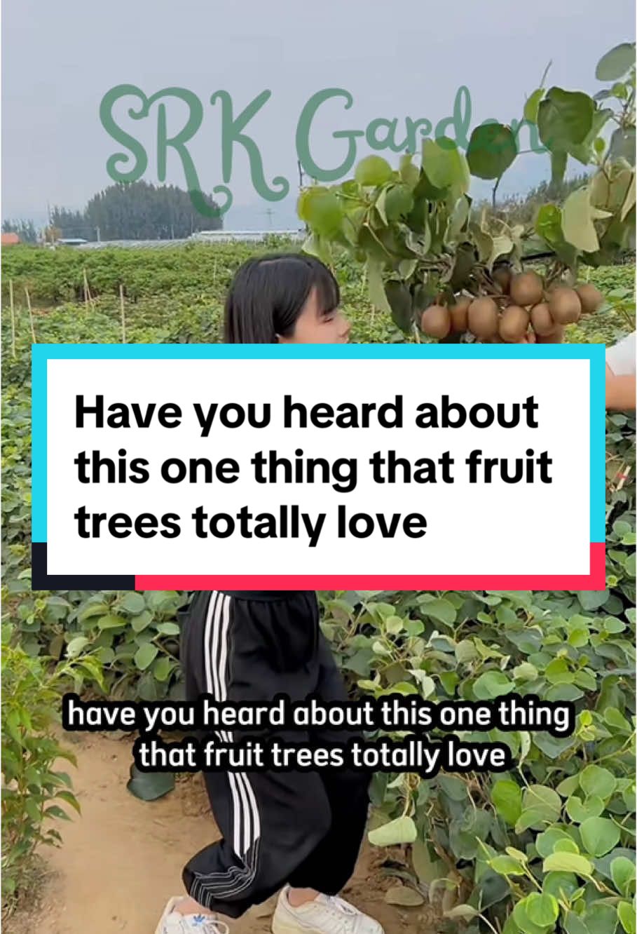 Have you heard about this one thing that fruit trees totally love #daveseedling #tipsforgarden #fruittree #reelsus #viral2025 