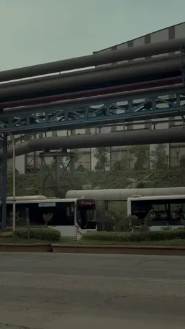 #morwalisulteng #kerjakeras #semangat💪💪💪🔥🔥🔥 