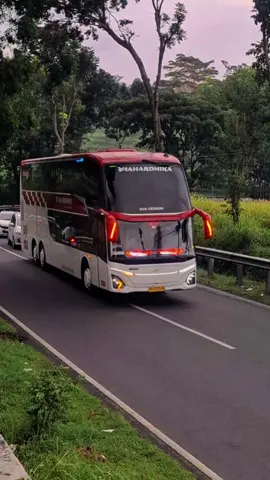 Loosss kagak rewel 🤙@busmahardhika  #busmahardhika  #buswonogiri 