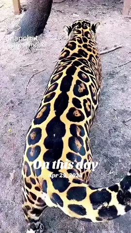 #onthisday 