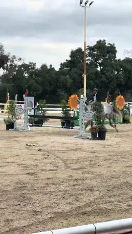 Absolutely insane #horse #equestrian #horsesoftiktoktok #horseboy #horseboy #horseshow #showjumper 