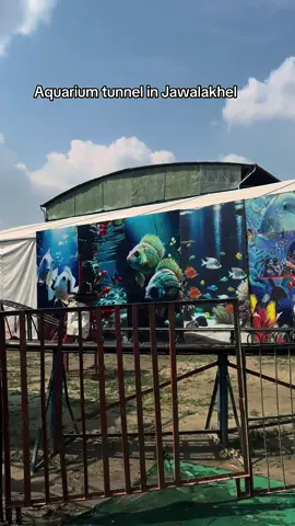 Ticket price: 150  #tiktok #fyp #thegeminitravellers #travelnepal🇳🇵 #tiktoknepal #fish #aquarium 