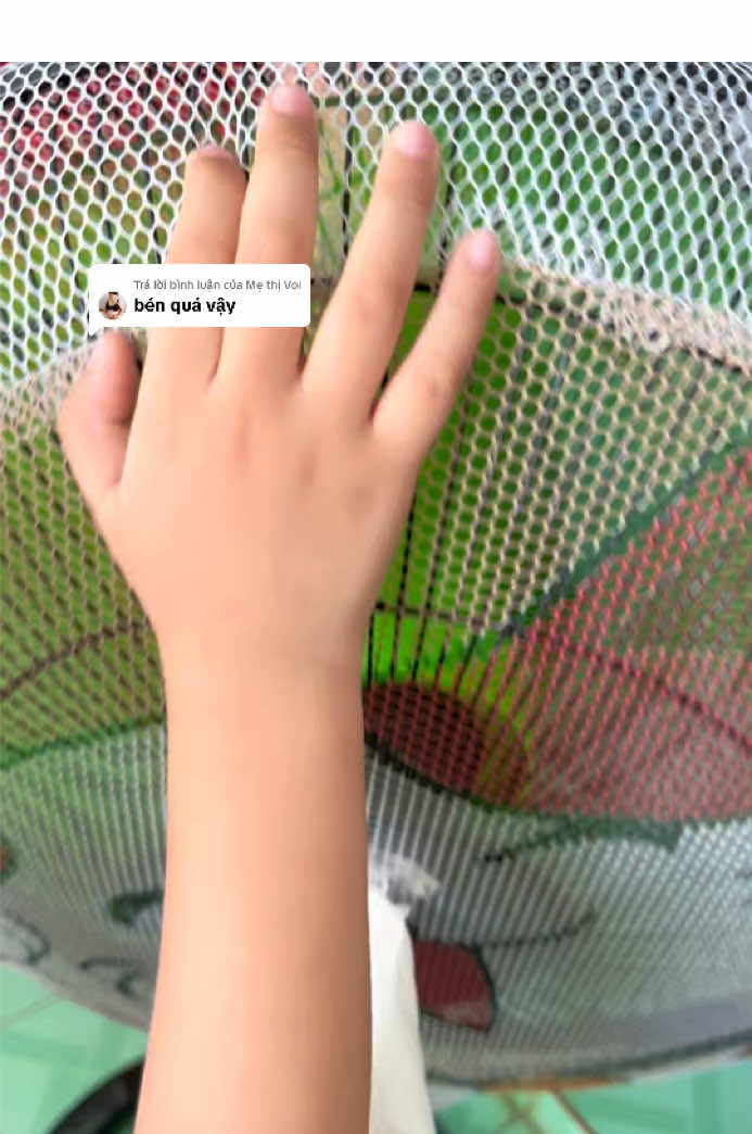 Trả lời @Mẹ thị Voi sợ nhất là nhà có con nghịch quạt, đứttt tay chảy sirô Hoài 😢 @EmNhiLongAn  @EmNhiLongAn  @EmNhiLongAn #emnhilongan #bocquat #bocquatbaovebe #luoibocquat #luoitrumquat 