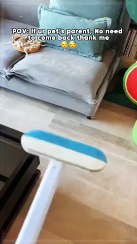 Say goodbye to Pet Hair with this Removal Tool👋🏽☺️#CleanTok #pethairremoval #tiktokmademebuyit #fyp  #sheddingseason #cleanhome #cathair #doghair #petparent 
