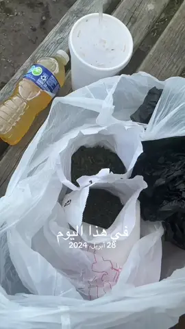 #في هذا اليوم 