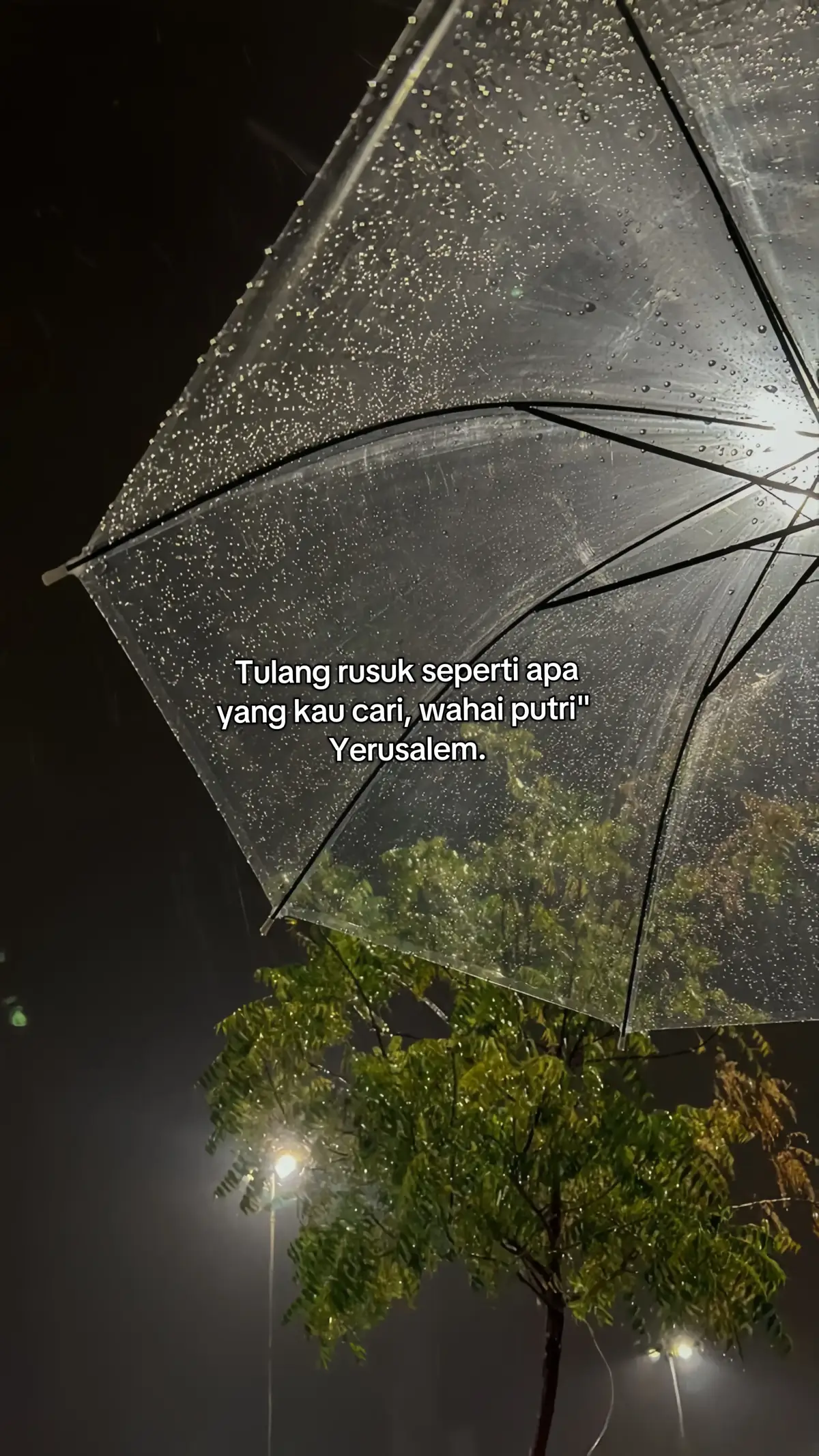 #katakata #quotes #4upageシ #zxycba #storytimur #ambonpride🏝🔥 