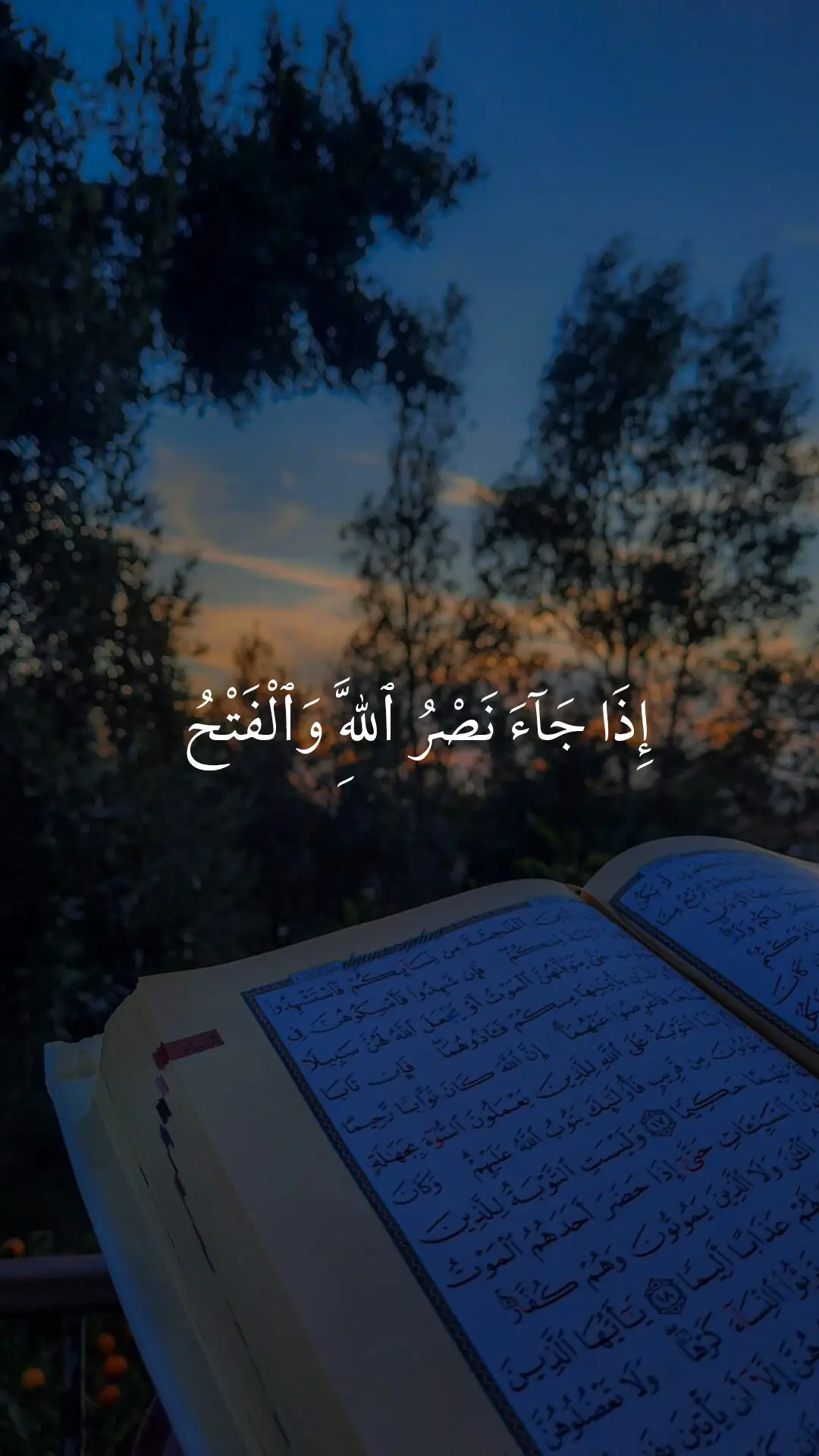 ##ارح_سمعك_بالقرآن #القرآن # قرآن كريم #ماهر المعيقلي #اكتب_شي_توجر_عليه علاء_مصطفى_1#تلاوة_خاشعة 