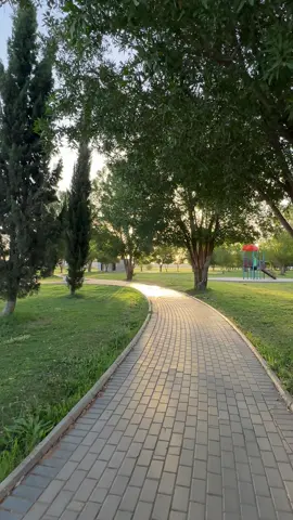 صباح الخير ☀️ #صباح_الخير  #goodmorning  #صباحكم_معطر_بذكر_الله  #صباحكم_أحلى_صباح  #اللهم_صل_وسلم_على_نبينا_محمد  #اللهم_صل_على_محمد_وآل_محمد  #فيروزيات_الصباح #تبوك  #تبوك_الان  #tabuk 