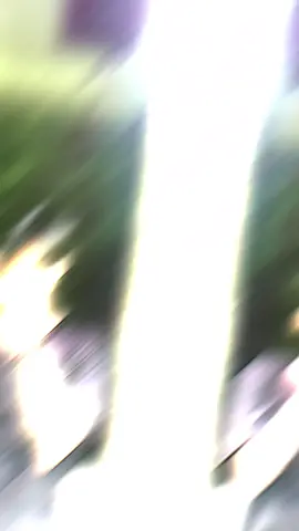 #CapCut 💁‍♂️ #dayakganteng #fyp #lewatberanda #kalimantanpride #zxycba 