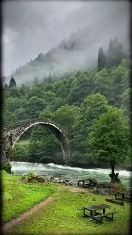 يالله بصبح ينفتح له مئة باب🙏💐  #ترند #صباح_الخير #viral #foryou #اكسبلور #pyf #tiktokarab #like