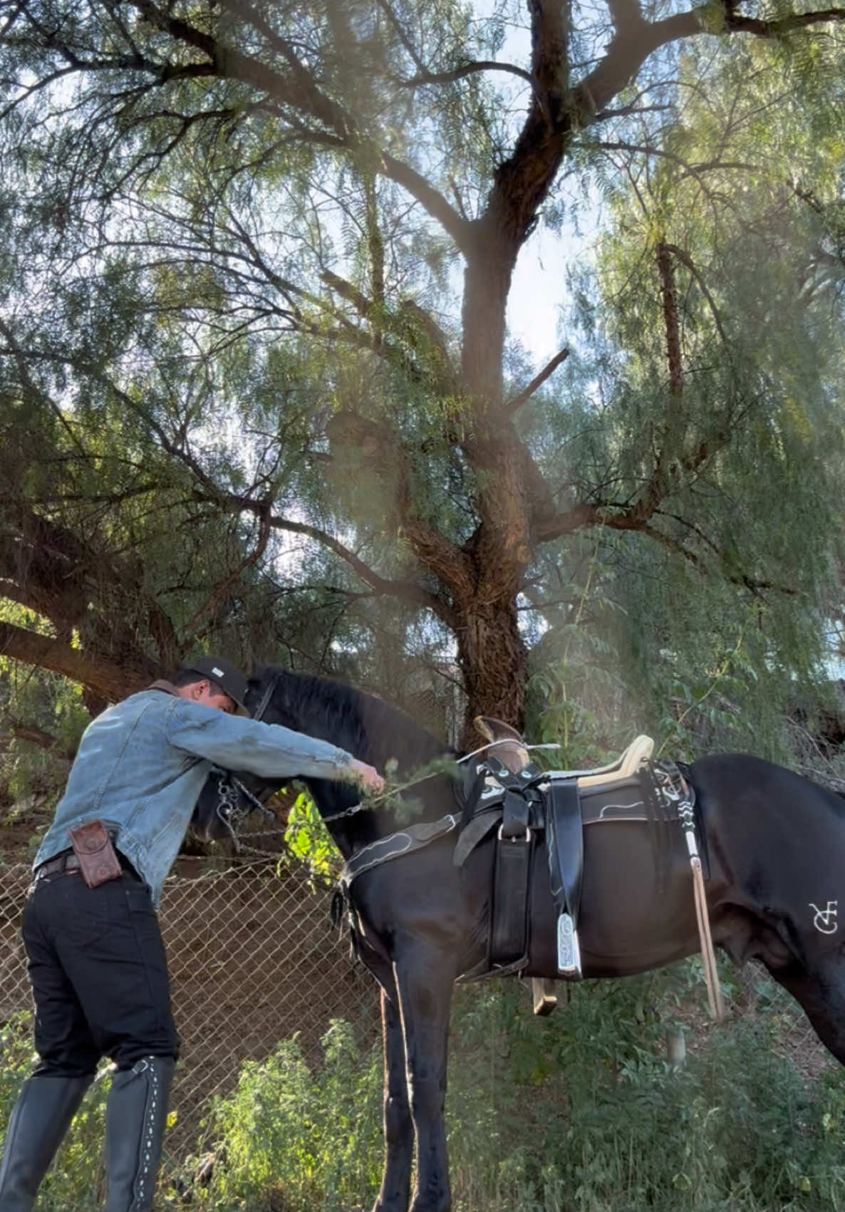 #fyp #caballos #charro #rancho #paratiiiiiiiiiiiiiiiiiiiiiiiiiiiiii 