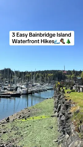 Bainbridge Island has so many stunning and easy hikes with water views! I can’t wait to visit again and try even more hikes🌊🥾🌲#seattle #creatorsearchinsights #seattletiktok #pnw #bainbridgeisland #spring #Hiking #washington #fyp 