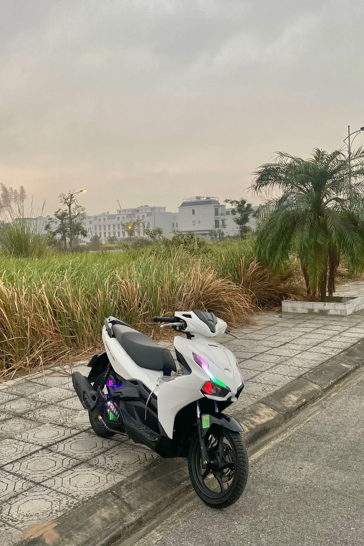 Nhìn ae đi Cát Bà chạy mà lại nhớ em nó lúc còn là máy bay quá🥲 