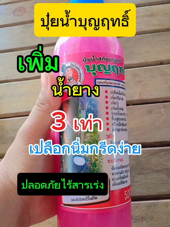 ปุ๋ยน้ำบุญฤทธิ์สูตรเดิมกลับมาแล้ว😱💸🎉 #รีบซื้อก่อนของจะขาด  #ปุ๋ยน้ำบุญฤทธิ์ #เพิ่มผลผลิต #ยางไหลดี #ยาบำรุงหน้ายาง #ยาทาหน้ายาง #ปุ๋ยน้ำฟอโล่ 