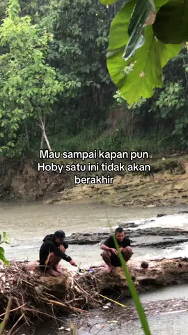 #ikan #fyp #fyppppppppppppppppppppppp #mancing 