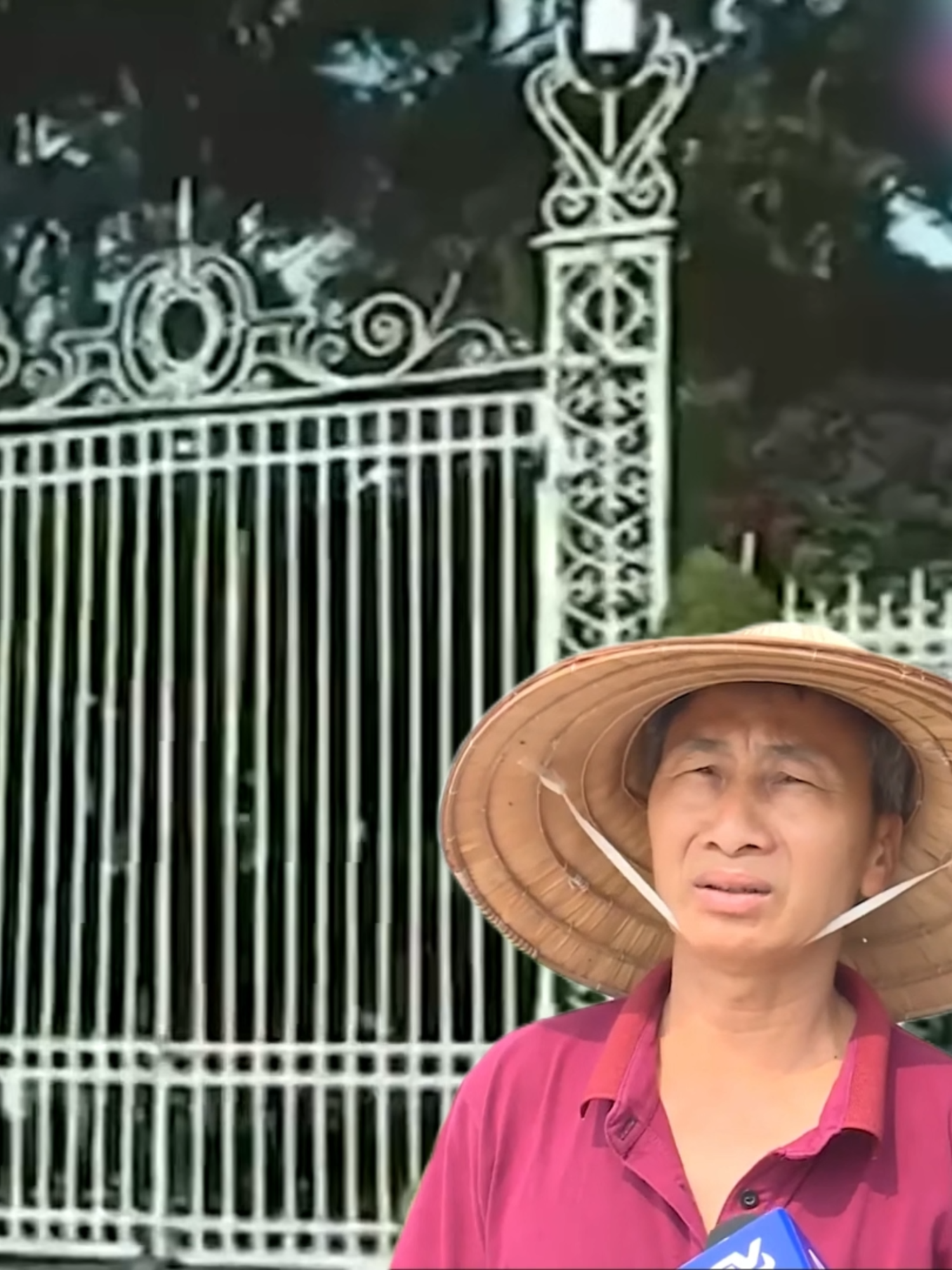Chào mừng 30/4!  #50namgiaiphongmiennnam🇻🇳 #giaiphongmiennam #dinhdoclap #xuhuong #trending