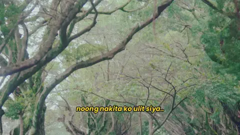 Mr. Perfecty Fine (visualization) - A #stejay filo AU #fyp #FYP #AHOF #아홉  #JL #제이엘  #STEVEN #스티븐 #kpopau #kpop #kpopfyp #kpopfypシ #fypage #fyppppppppppppppppppppppp #fypageシ 