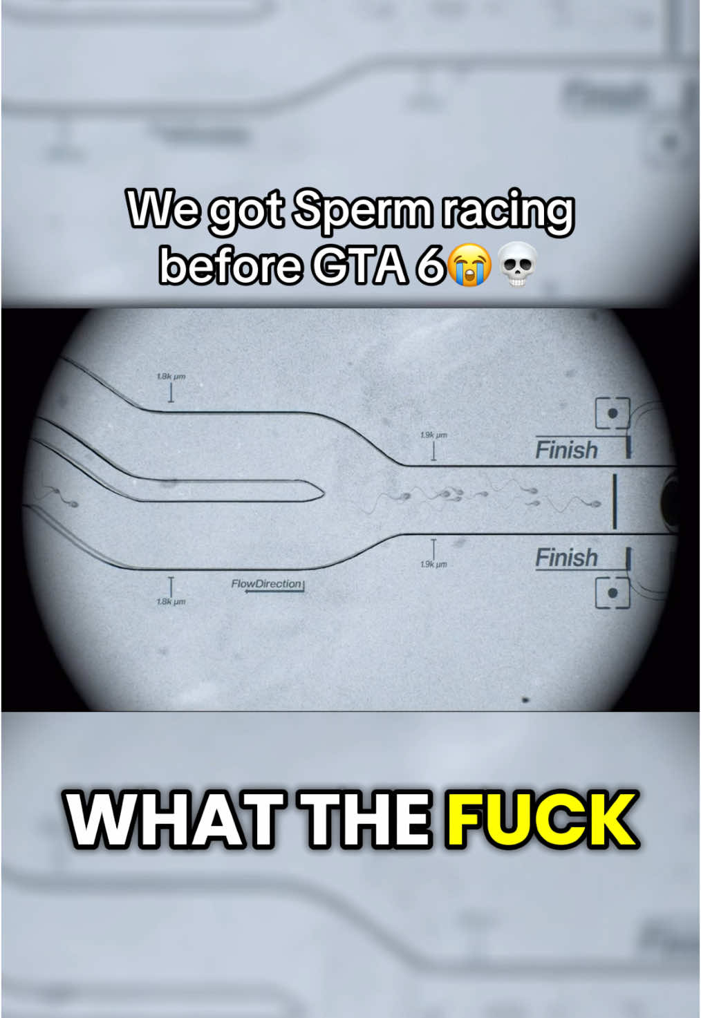 who’s the lebron of sperm racing #fyp #viral #spermracing #lebron #clips #clipfarm #noahboat #druski 