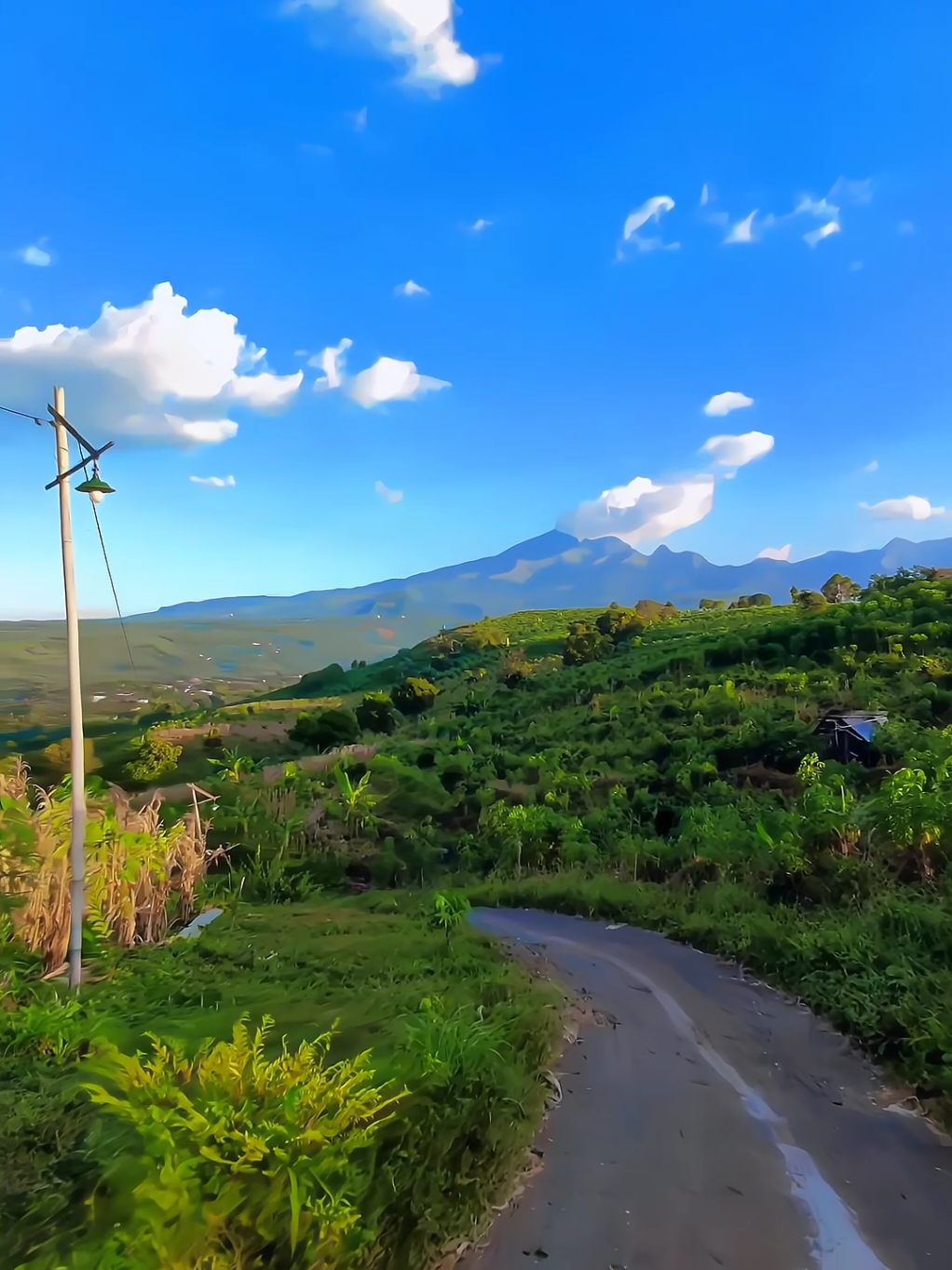 keindahan yg tersembunyi  #foryoupage❤️❤️ #fypシ゚ #sawahan #nganjuk24jam #nganjuk #sawahannganjuk #sawahan24jam #nganjukkotaangin #fyp 