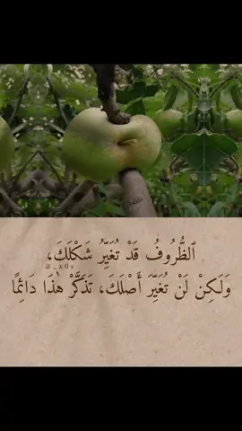 الحمدلله دائماً وأبداً 🥀🕊️