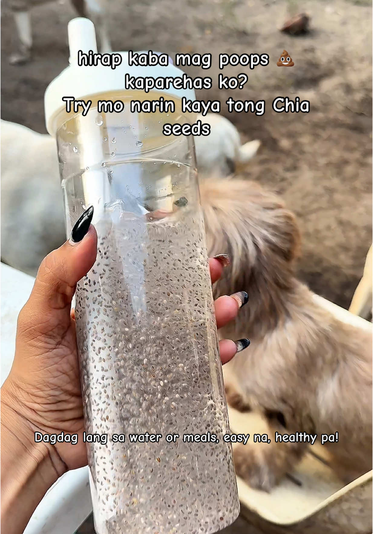Siksik sa benefits, hindi sa calories. Chia Seeds—  #ChiaSeedsPH #ChiaPower #ChiaForLife #ChiaGoodness #ChiaEveryday #ChiaGlow #ChiaHealth #SoakedChia