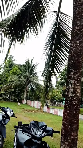 sesekali di sekolah #std #suprax125 #kphgank🚀 #fyp 