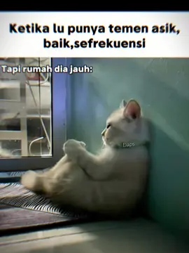 #meme #jjtipis #semogafyp #foryoupage 