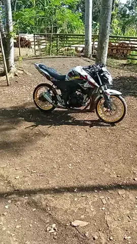 halo user CBR🙏