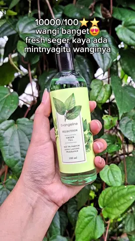 rekomendasi banget😍😍#parfum #evangeline 