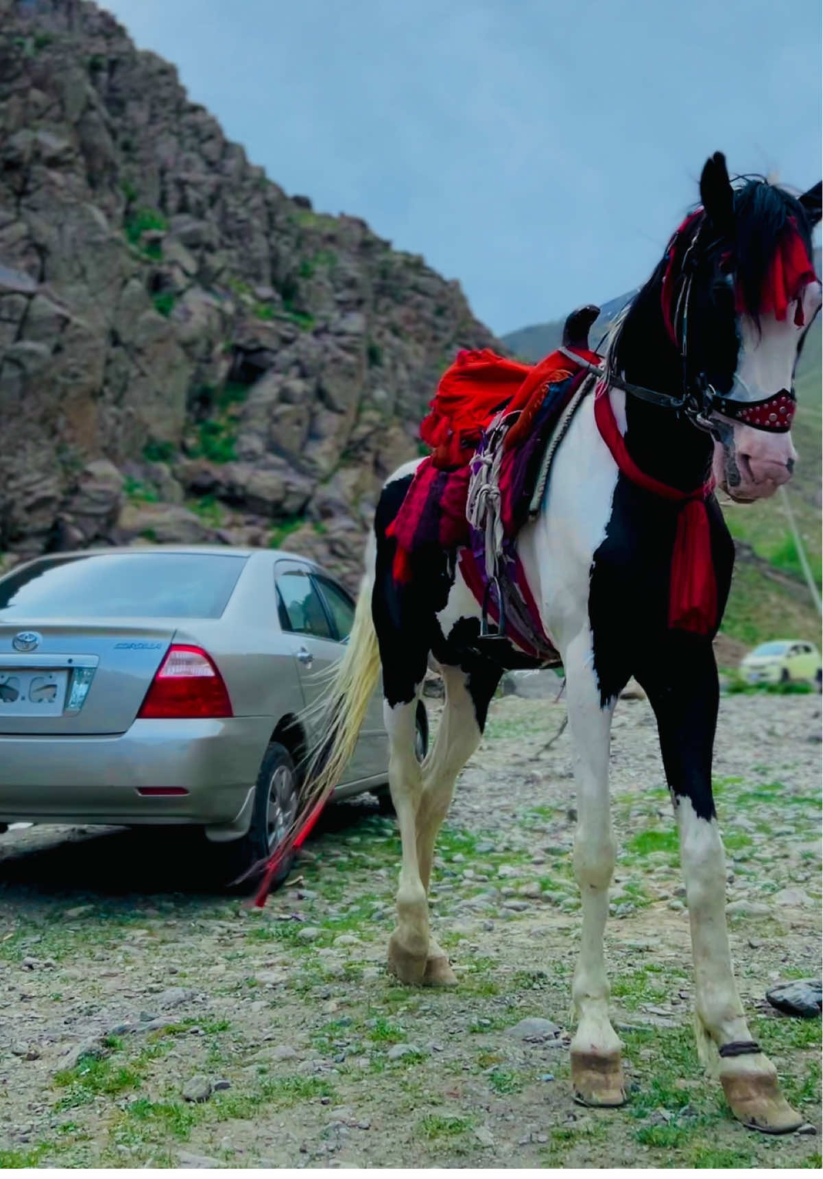 #foryou #viralvideo #viraltiktok #foryoupage #💕 #highlight #everyone #folwers #kandhari 