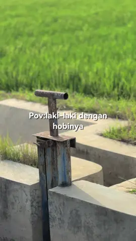 #CapCut teks bisa di ganti #fdtemplate 
