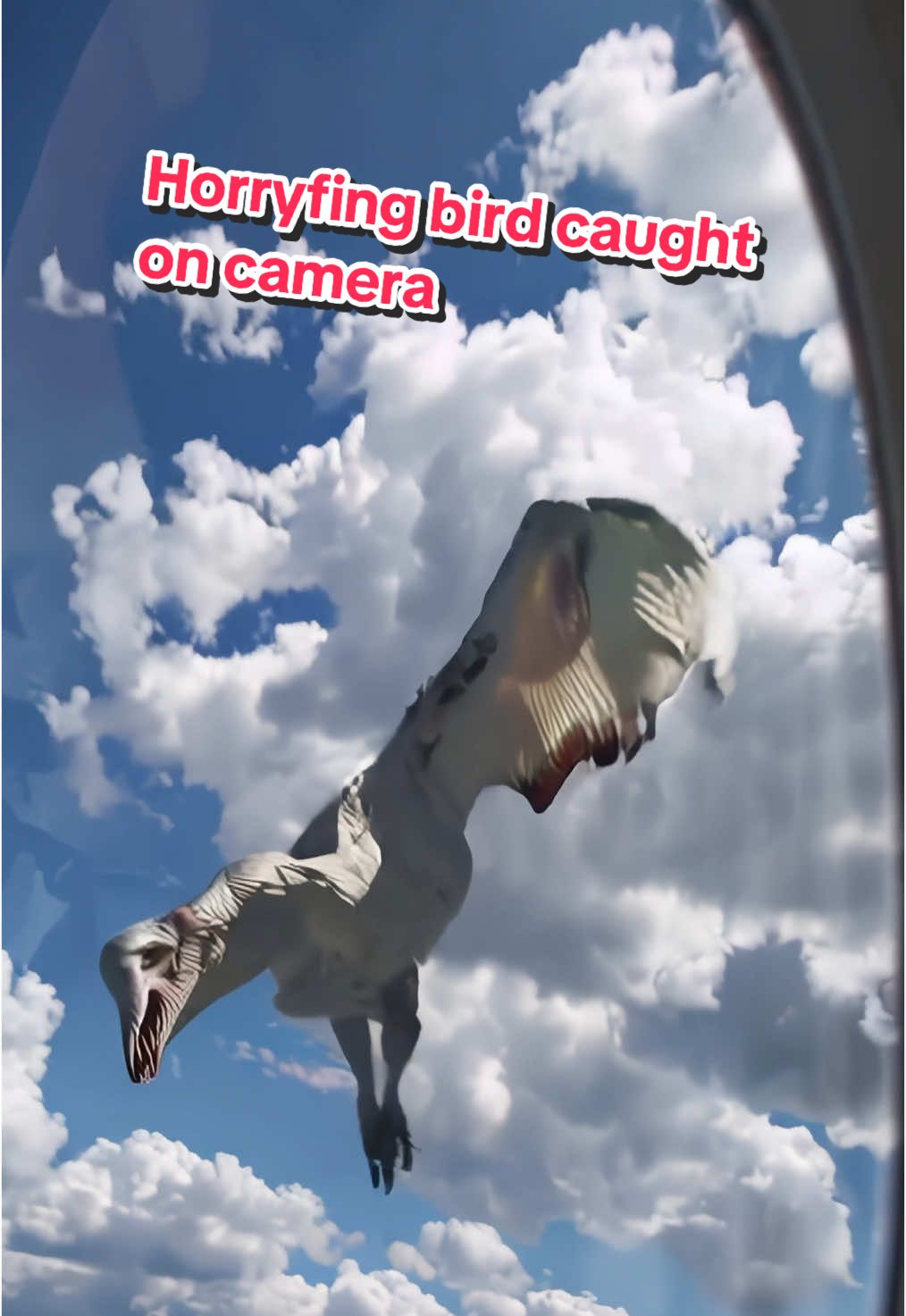 Horrifying bird caught following a plane! #bird #horrortok #horror #aiart #aiartcommunity #aiartist  Did you see the face??