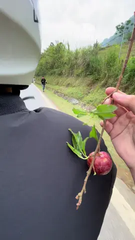 #xh các idoi nào thất thủ chữ s điểm danh nào 😋