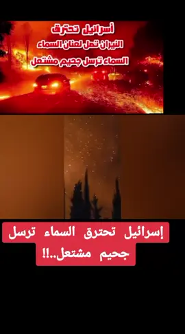#creatorsearchinsights حرائق إسرائيل #حرائق #غابات #نيران #pourtoi @العربية(1) 