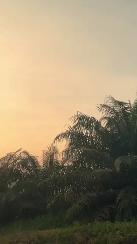 lagu bersama kenangan nya :) #vibes #notyou #sunset #nostalgia #4you #fyp 