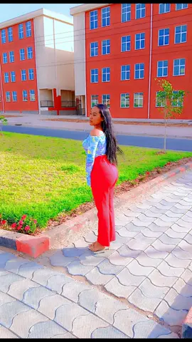 Love is hard, really. @Mã𝒉𝒊 ko @Samuel Getahun @Alex Baddaa Jalduu 🐅 @@Ɓéķañşì❤💚❤430 @Meri🗽 @Melala 🦋 