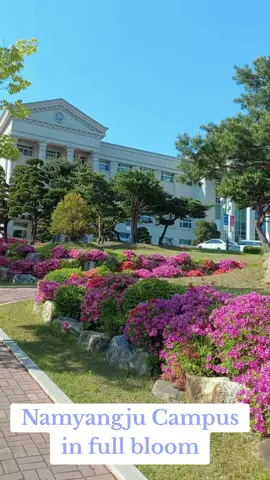#kyungbokuniversity #namyangju #studyinkorea #koreanlanguage #seoul #springinkorea #campus 