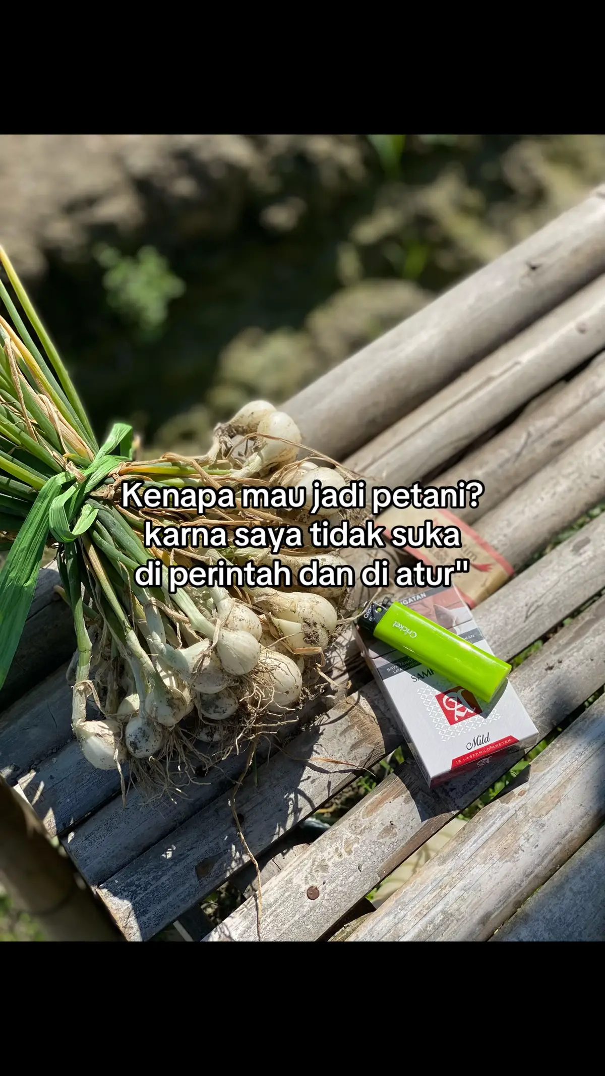 #fyp #foryou #bawangmerah #petanibawangmerah #petanimilenial #xyzbca #beranda #bosmuda #viral 