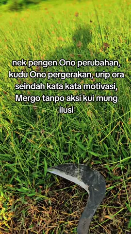 ready aret matic#sobatngaritnusantara🔥🔥 #sobatngarit #petanimuda #sobatngaritnusantara #sobatngaret #peternakmilenial #peternakan #peternaksapiindonesia #petani #petaniindonesia🇮🇩🇮🇩🇮🇩🌿🌿 #sapi #sapiqurban #peternakmuda  #sapijumbo #fyp 