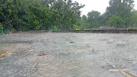 #tiktokbangladesh #viraltiktok #viralvideo #