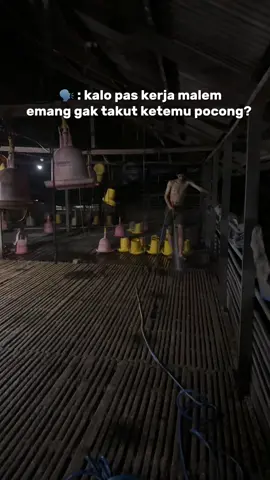 Info pocong 😂  #CapCut #ayambroiler #broilerchicken #peternakmuda #broilerfarm 