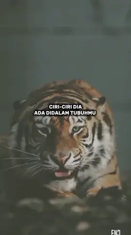 jangan lupa follow like salin tautan komentar 🙏  #fyp #khodam #khodampendamping 