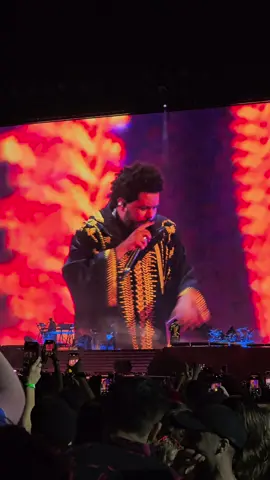 Unforgettable night with The Weeknd! What’s your favorite song? Drop it in the comments! #TheWeeknd #TheWeekndTour #AfterHoursTilDawn #ConcertVibes #LiveMusic #MusicLovers #XO #Starboy #BlindingLights #SaveYourTears #AbelTesfaye #MusicFestival #ConcertMoments #Viral #fyp 